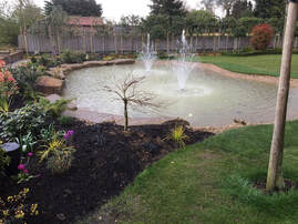 Synchronized fountains